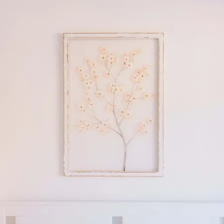 Domo House Guest house