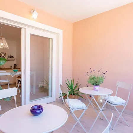 Domo House 招待所 维拉西米乌斯