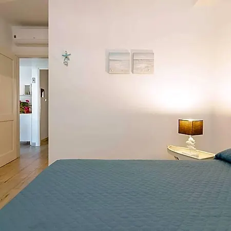 招待所 Domo House 3*